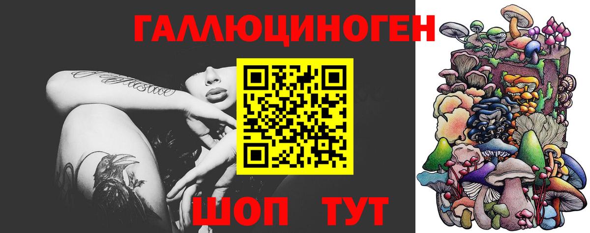 Галлюциногенные грибы Cubensis  Вход с VPN  Галлюциногенные грибы мицелий  Пушкино 